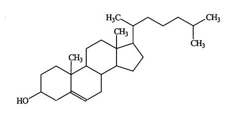 Cholesterol: Structure Of Cholesterol