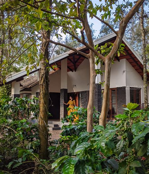 Chikmagalur Stay – Jungle Trailz Resort and Home stays