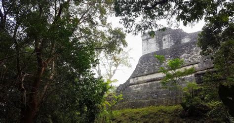 Tikal Sunrise Tour or Sunset Tour? - Travels With Eli