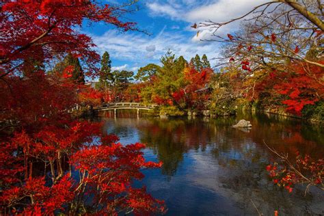 Best Time to Visit Kyoto: Weather By Month and Season