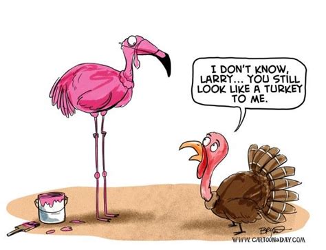 Whimsical Thanksgiving Cartoon: Turkey Meets Flamingo 🦃🦩