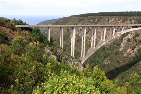 Beautiful View of the Bloukrans River Bridge on the Garden Route in ...