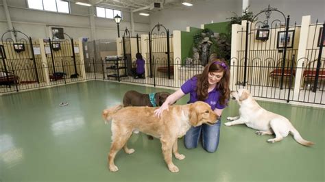 The Best Pet Boarding in Columbus, Ohio | Grooming and Daycare Services ...