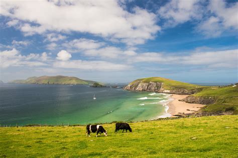 Dingle Peninsula travel | County Kerry, Ireland - Lonely Planet