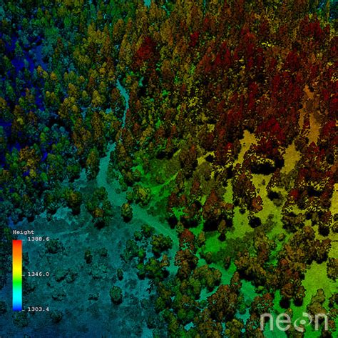 What is Lidar Data | Earth Data Science - Earth Lab