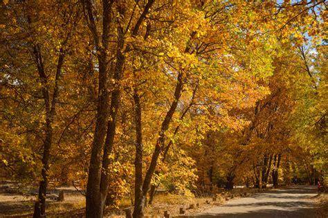 Mt. Laguna: Sunrise Highway – California Fall Color