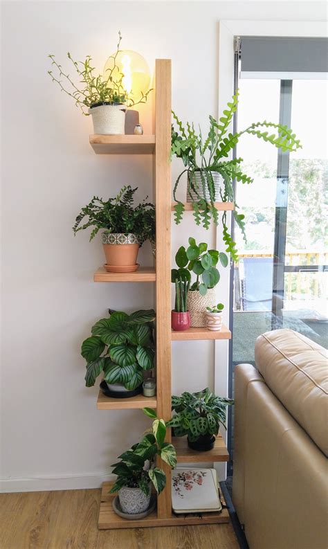 My plant shelf : houseplants