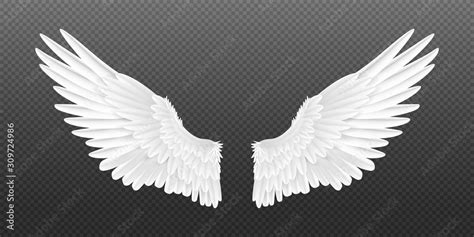 Realistic angel wings. White isolated pair of falcon wings, 3D bird ...