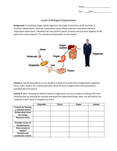 Levels Of Biological Organization Worksheet Biology Anatomy And ...