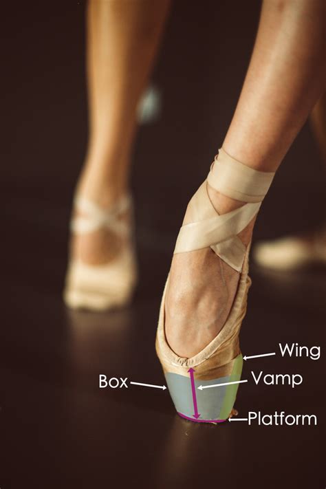 What Is a Pointe Shoe?: A Guide to the Advanced Dance Footwear ...