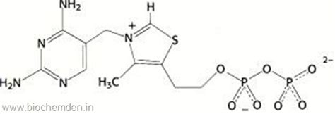 Bio Gallery: Thiamine and Thiamine Pyrophosphate (TPP) Structures