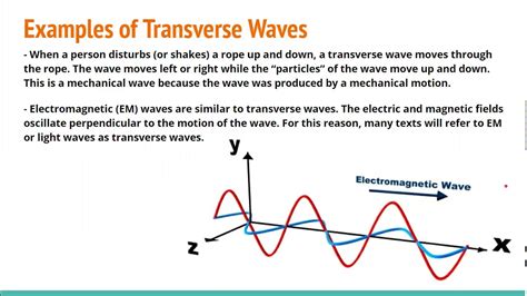 Waves Part 4 - Transverse Waves - YouTube