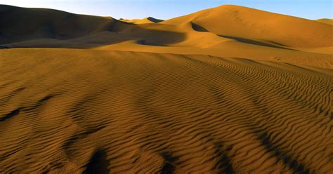 An ecological consultant treks through the Gobi Desert