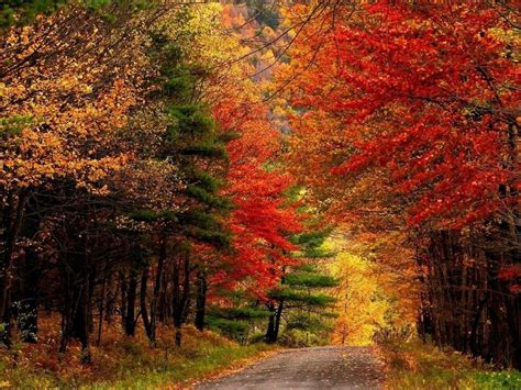 5 scenic drives in the Catskills to take during fall season ...