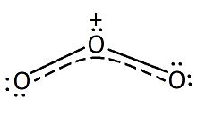 Describe the allotropic forms of oxygen and sulfur. In your answer ...