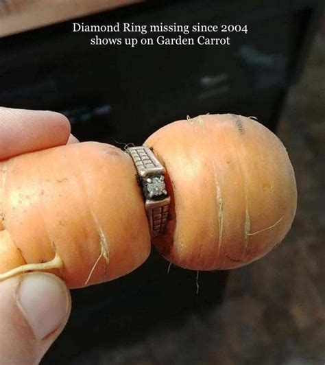 1 Carrot Diamond Ring Found - Bits and Pieces