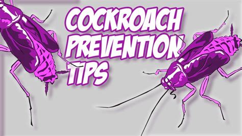 Cockroach Prevention Tips | Killroy Pest Control