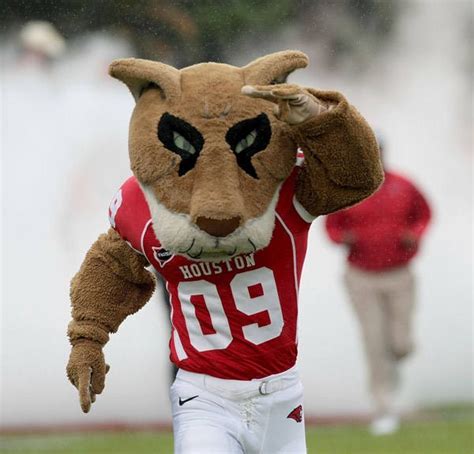 Crazy College Mascots | Houston cougars, Mascot, University of houston