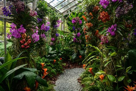 Selby Gardens Orchid Show Breaks Revenue Records | Sarasota Magazine