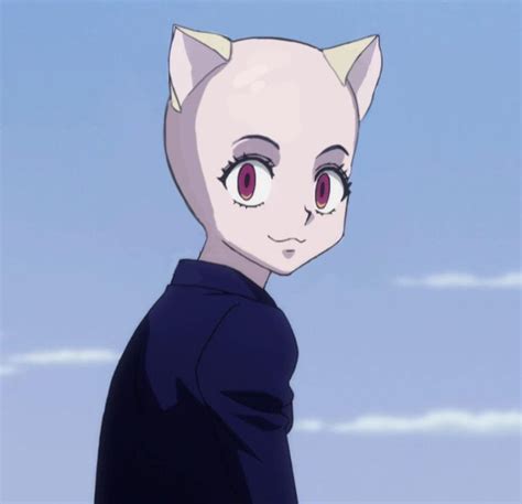 Was searching for Pitou pics, found this : HunterXHunter