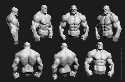 Bodybuilder | Anatomy poses, Anatomy reference, Art reference