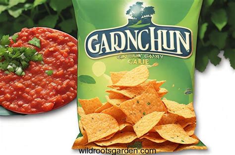 Are Garden Salsa Sun Chips Discontinued?