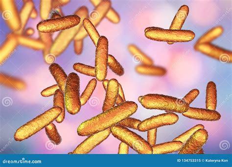 Bacteria Citrobacter, Gram-negative Coliform Bacteria in the Family ...