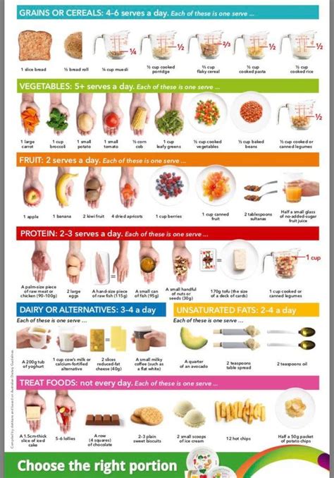 Recommend daily intake and handy portion size guide: coolguides | Food ...