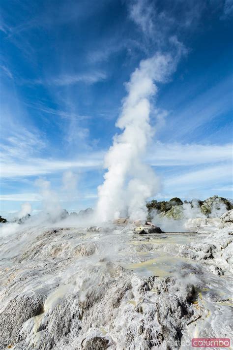 - Pohutu Geyser erupting, Te Puia, Rotorua, New Zealand | Royalty Free ...