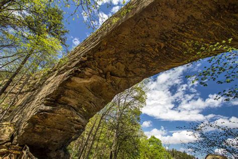 Escape To Nature: Kentucky State Parks Within Reach Of Mayfield