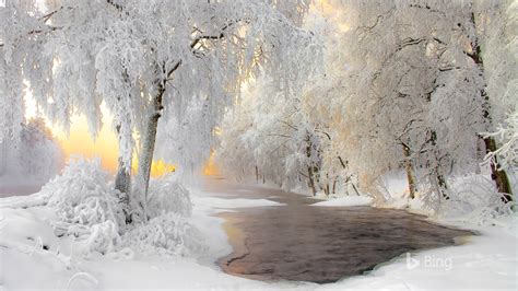 Finland Winter Forest Snow River 2018 Bing Preview | 10wallpaper.com