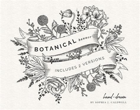 Floral Banner Clipart Digital Black and White Hand Drawn - Etsy UK