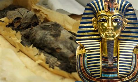 Ancient Egypt 'extraordinary' find as DNA of 'mummified baby girls ...