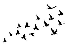 Simple Bird Silhouette : Bird Silhouette Patterns Print And Download ...