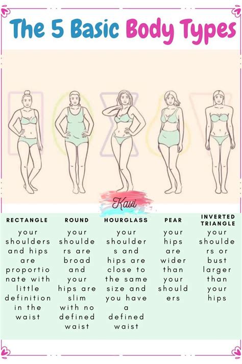 Basic female body types – Artofit