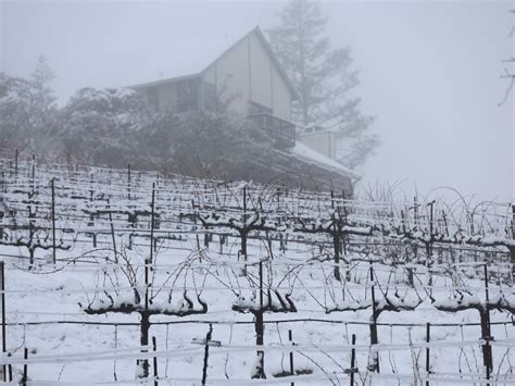 Weather Service Reports Napa County Snowfall Amounts | Napa Valley, CA ...