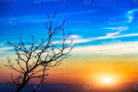 sunset tree landscape 18897038 Stock Photo at Vecteezy