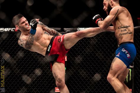 UFC Fight Night 105 // Recap and Photos | Entertainment & Arts