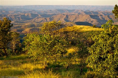 Brazilian Cerrado (Savanna) | Flickr - Photo Sharing!