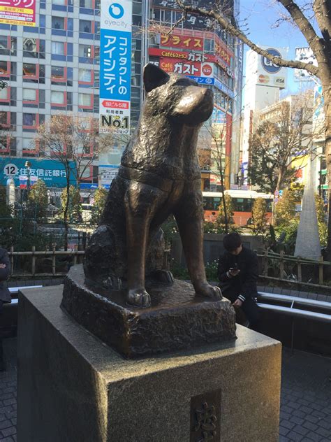 The True Story Of Hachiko - Japan's Most Loyal Dog - HACKZHUB