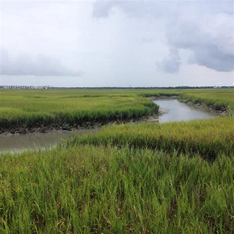 Escape to Pitt Street Bridge - Charleston Daily