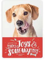 Pet Holiday Cards | Minted