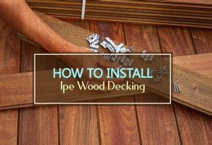 A Guide to Ipe Decking: Pros, Cons, Maintenance and More - Household Advice