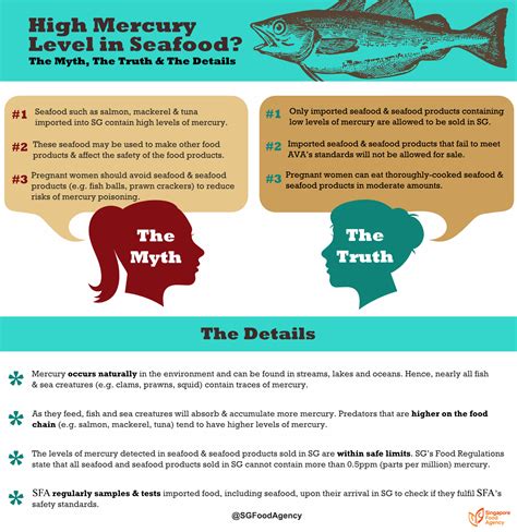 Food for Thought | Are there high levels of mercury in seafood?