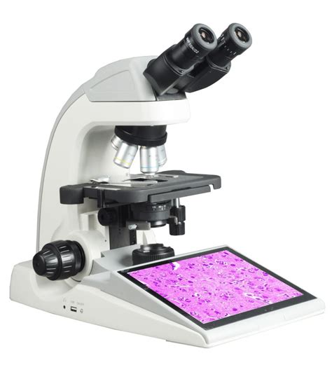 BUM300L LCD laboratory Microscope