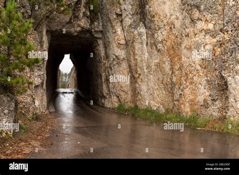 Needles Eye Tunnel in the Black Hills of South Dakota Stock Photo - Alamy