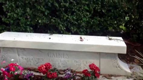 *Ronnie Van Zant * Steve & Cassie Gaines * Memorial Site ~2013 LYNYRD ...