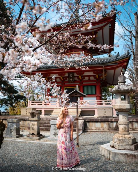 The 10 Best Cherry Blossom Locations In Kyoto - CHARLIES WANDERINGS