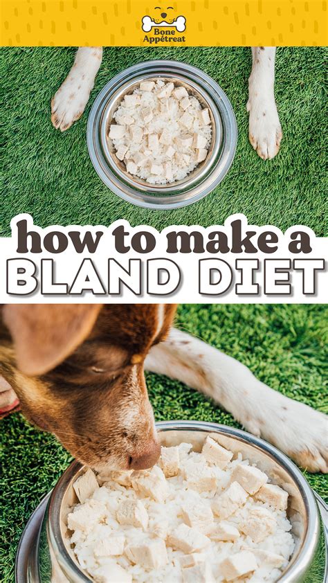 Bland Diet For Dogs (The Complete Guide!) (The Comprehensive Guide ...