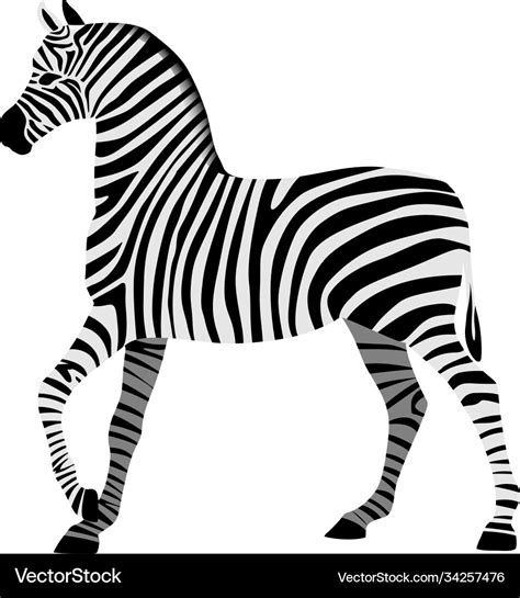 Zebra drawing in black and white stripes isolated Vector Image